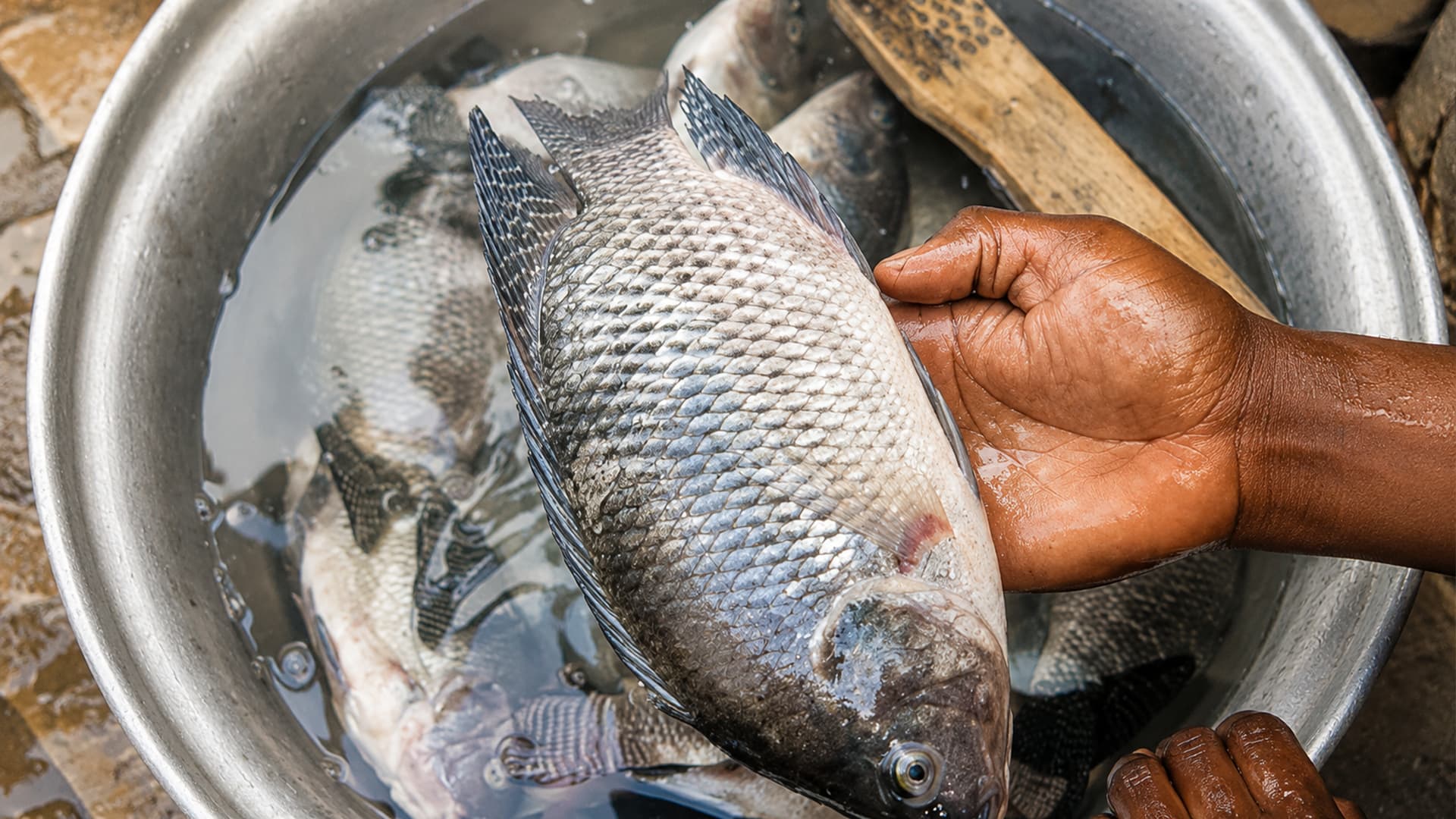 Approvisionnement — Sourcing local en Afrique de l'Ouest