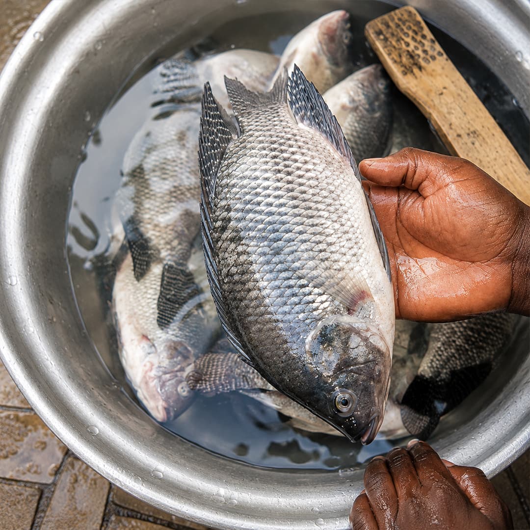Approvisionnement — Sourcing local en Afrique de l'Ouest